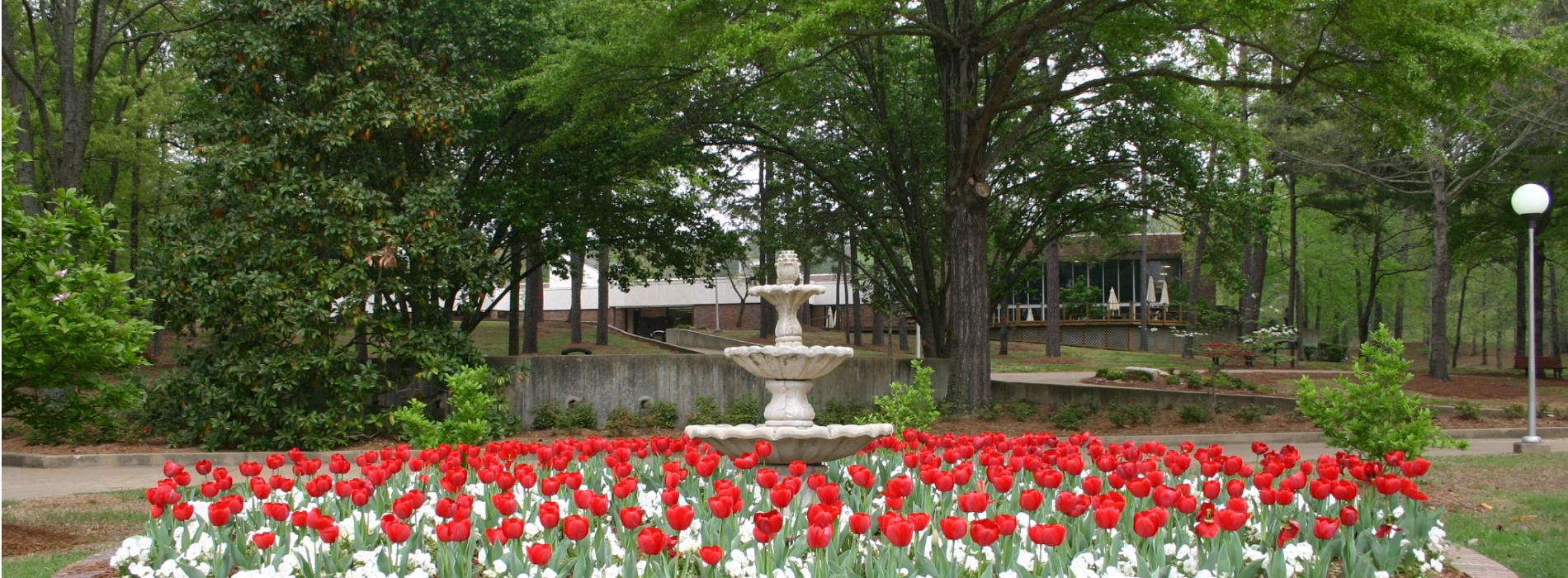 Fountain_RedFlowers